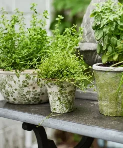 Outlet Botanical Fluted Pot Small Urns, Vases & Planters