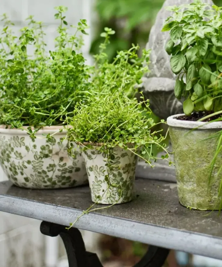 Outlet Botanical Fluted Pot Small Urns, Vases & Planters