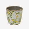 Outlet Botanical Lemon Pot Large Urns, Vases & Planters
