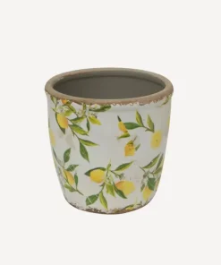 Outlet Botanical Lemon Pot Large Urns, Vases & Planters