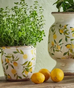 Outlet Botanical Lemon Pot Large Urns, Vases & Planters