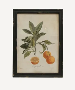 Clearance Botanical Orange Wall Art Wall Art