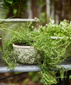 Clearance Botanical Pot Small Urns, Vases & Planters
