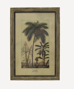 Outlet Botanical Wall Art Species B Wall Art