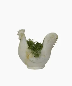 Fashion Chook Flower Pot Urns, Vases & Planters