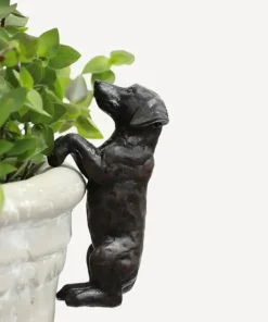 Hot Dachshund Pot Stand (3PC) Decorative Objects