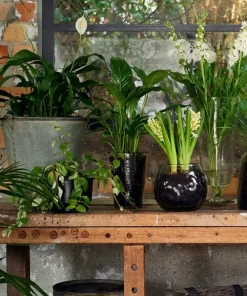 Clearance Dappled Clear Conical Vase Urns, Vases & Planters
