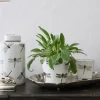 Clearance Dragonfly Round Planter Urns, Vases & Planters