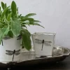 Outlet Dragonfly Small Square Planter Urns, Vases & Planters