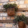 Sale Esk Hurricane Wall Sconce Candleholders & Hurricanes