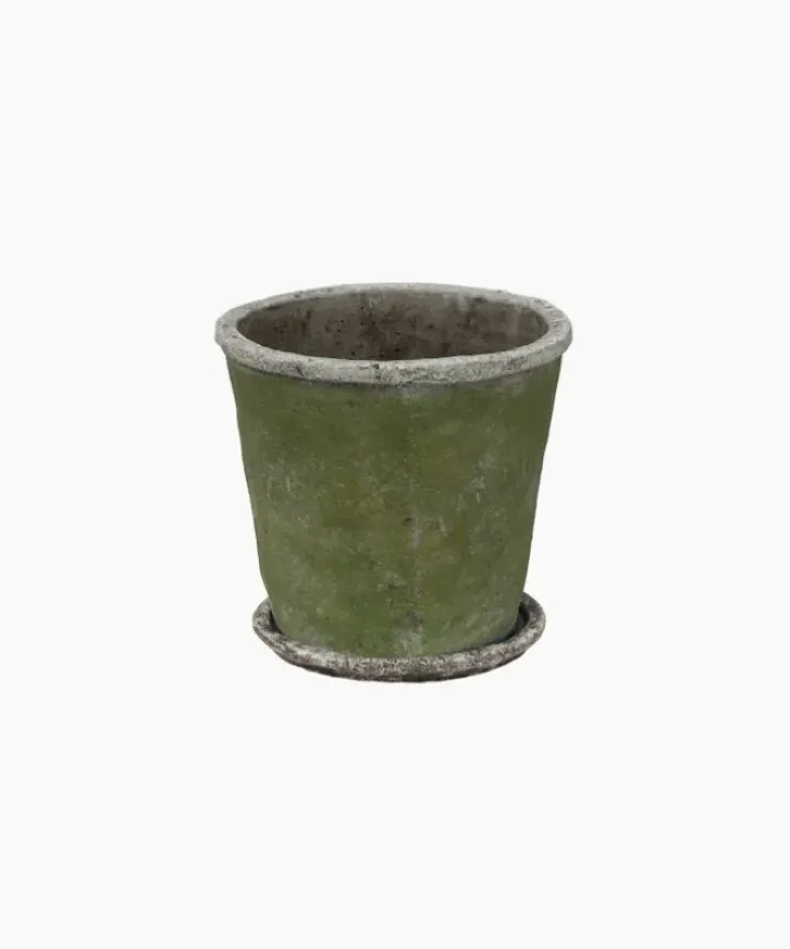 Clearance Evergreen Plant Pot & Saucer Medium Urns, Vases & Planters