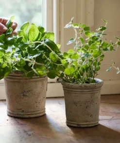 Sale Gris Planter Small Urns, Vases & Planters