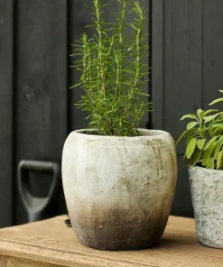 Outlet Marron Planter Vase Medium Urns, Vases & Planters