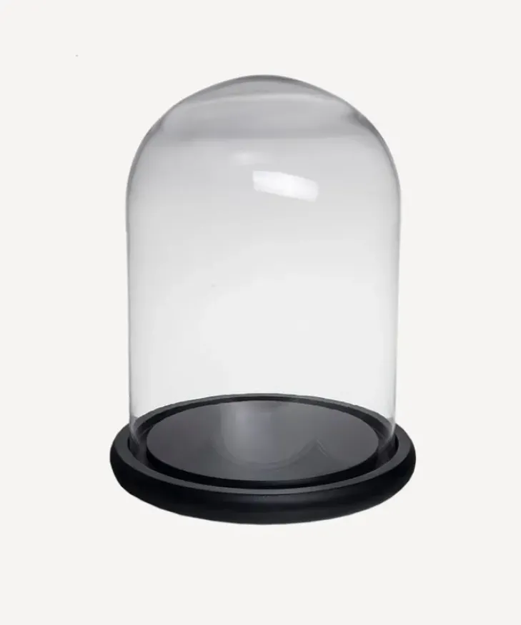 Sale Medium Dome Black Base Decorative Objects