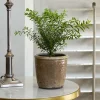 Sale Stone Glazed Terracotta Pot Urns, Vases & Planters