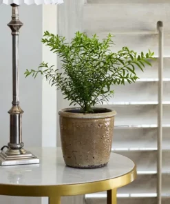 Sale Stone Glazed Terracotta Pot Urns, Vases & Planters