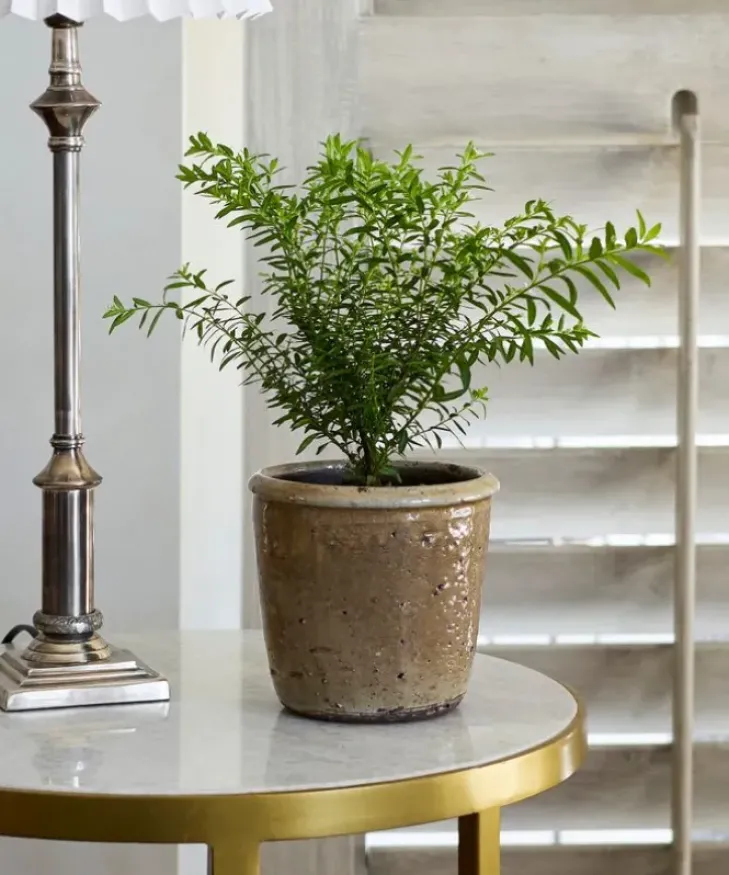Sale Stone Glazed Terracotta Pot Urns, Vases & Planters