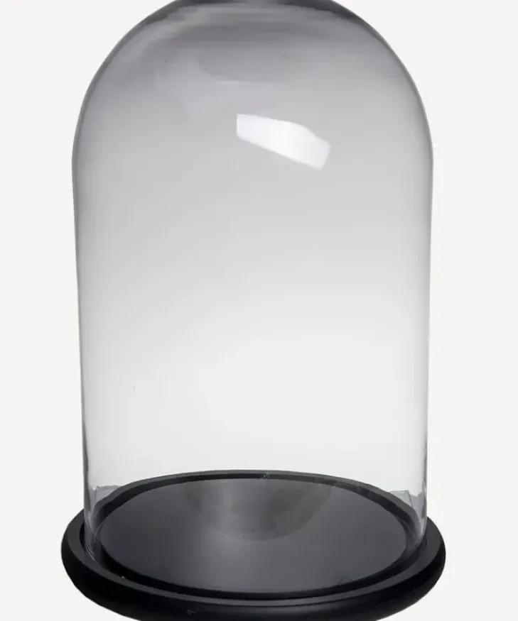 Clearance Tall Wide Dome Black Base Decorative Objects